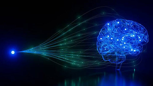 Supervised and Unsupervised ML Models